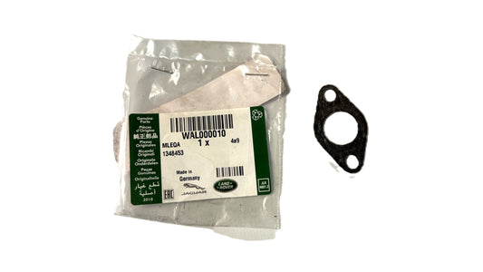 Gasket - Check Valve - Genuine
